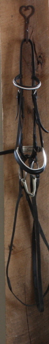 Ami's bridle