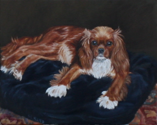 Dog portrait in oil of Cavalier King Charles, Ruby