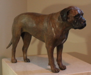 Bull Mastif in bronze, commissioned by owner