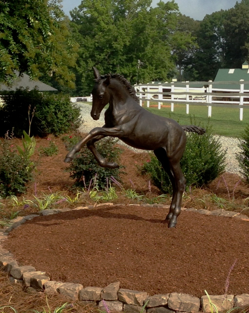Lifesize foal bronze sculpture of foal rearing.  Title: Frolicking Foal, bronze limited edition of 9