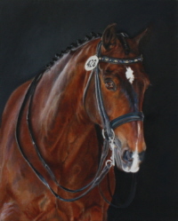 Horse portrait in oil : Levin