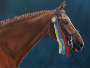 Portrait of Indy, owned by Stephanie Reggio